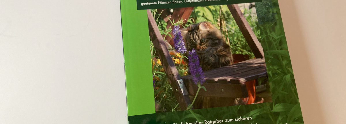 Katzenpflanzen – der Ratgeber für die richtigen Blumen und Kräuter im Haushalt