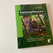 Katzenpflanzen – der Ratgeber für die richtigen Blumen und Kräuter im Haushalt
