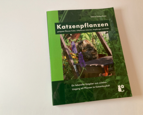 Katzenpflanzen – der Ratgeber für die richtigen Blumen und Kräuter im Haushalt