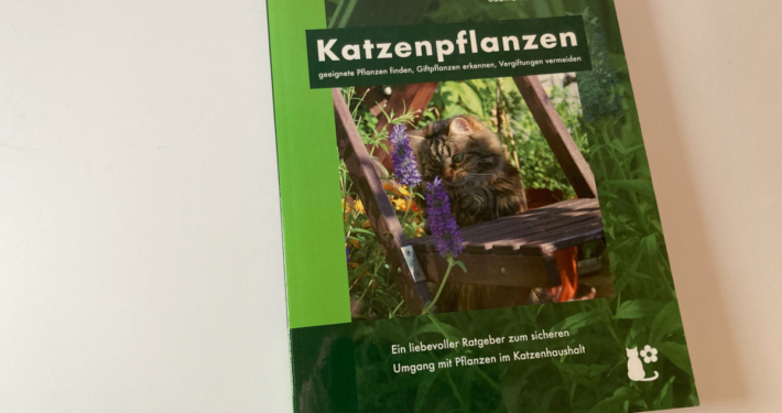 Katzenpflanzen – der Ratgeber für die richtigen Blumen und Kräuter im Haushalt