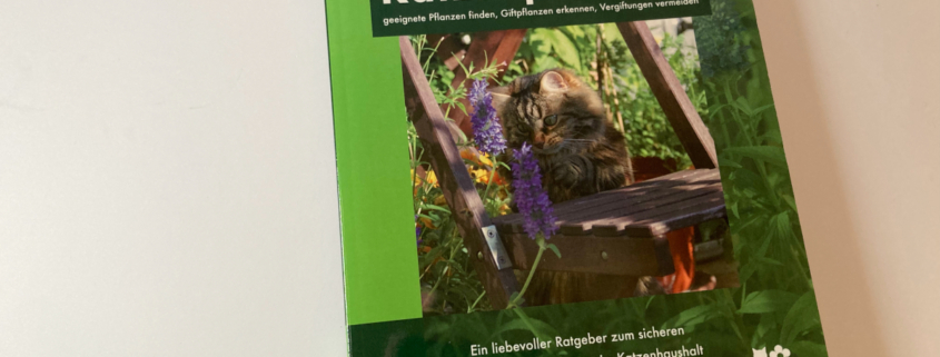 Katzenpflanzen – der Ratgeber für die richtigen Blumen und Kräuter im Haushalt